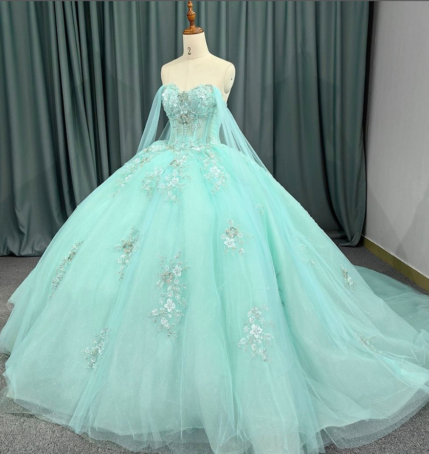 blue dress for baby girl Sweet 16 3D Floral Applique Long Quinceanera Dress