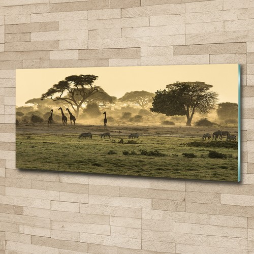 Tableau Tulup Sur Verre Trempé - Girafes Dans La Savane - 100x50 Cm - Neuf