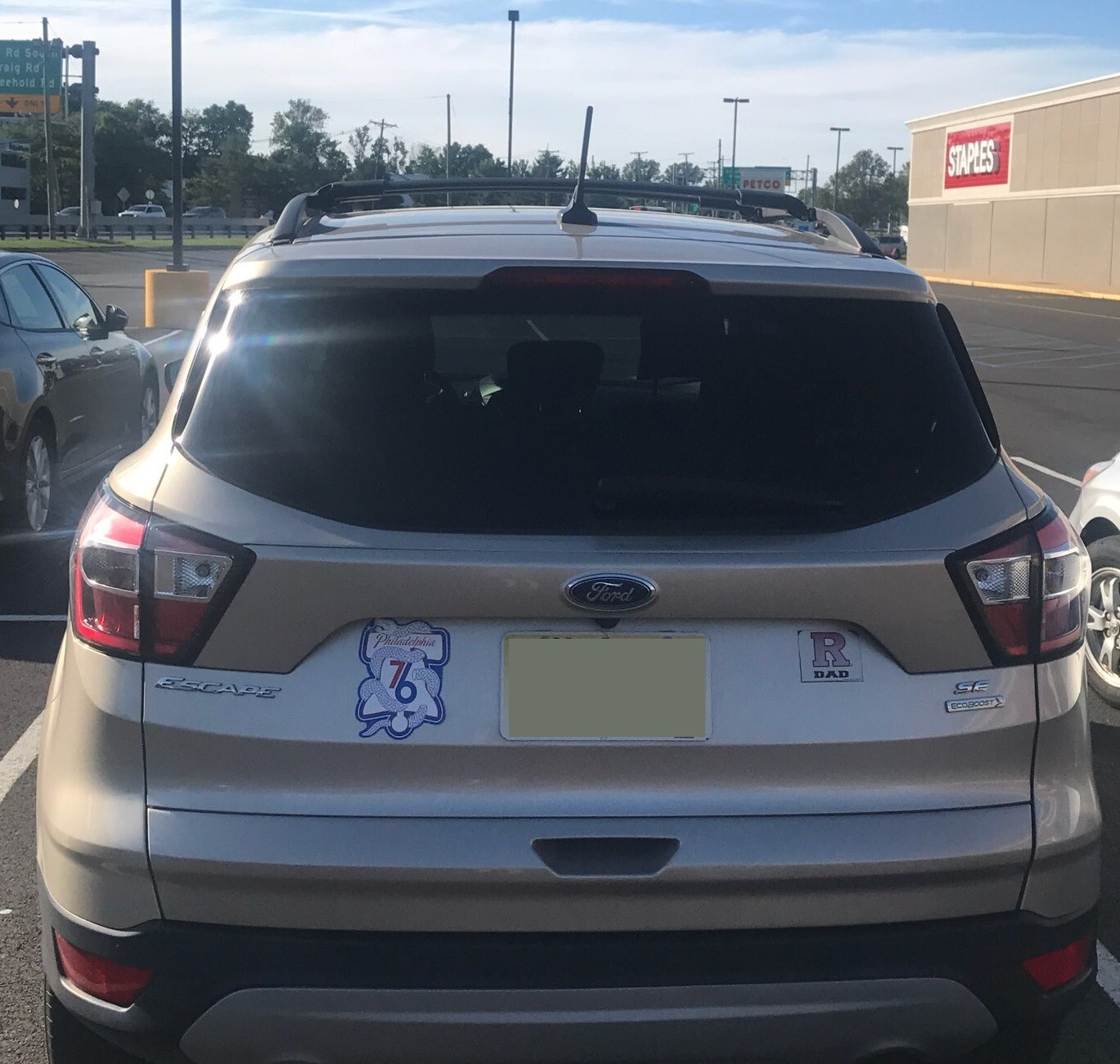 ALBERO ANTENNA RADIO AMFM Facile Da Usare Per Ford Escape 2013 2020 OE - Foto 5