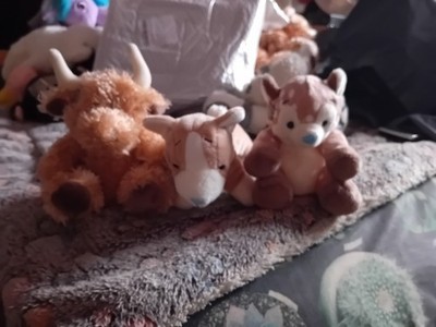 Carte Blanche Me To You My Blue Nosed Friends, McDuff, Queenie & Sway, Mini Plus