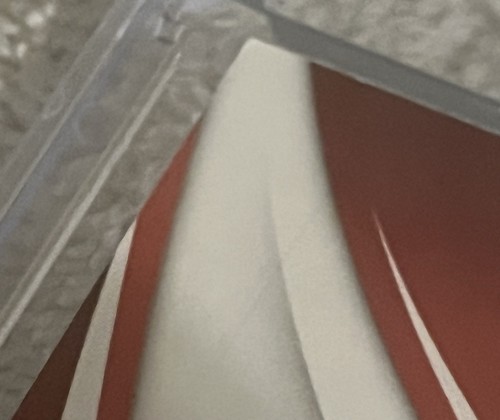2022 Absolute Lars Nootbaar Rookie Baseball Material Booklet Signatures RPA /99 - 第 6/6 張圖片