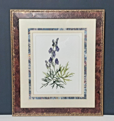 2 Framed Botanicals ''Aconite & Aquilegia''  19'' x 22'' was $355 each