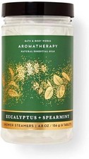 Eucalyptus Spearmint Shower Steamers Aromatherapy Tablets 6 Pack Spa
