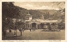 C103 Germany Bad Wildungen garden 1917  vintage postcard