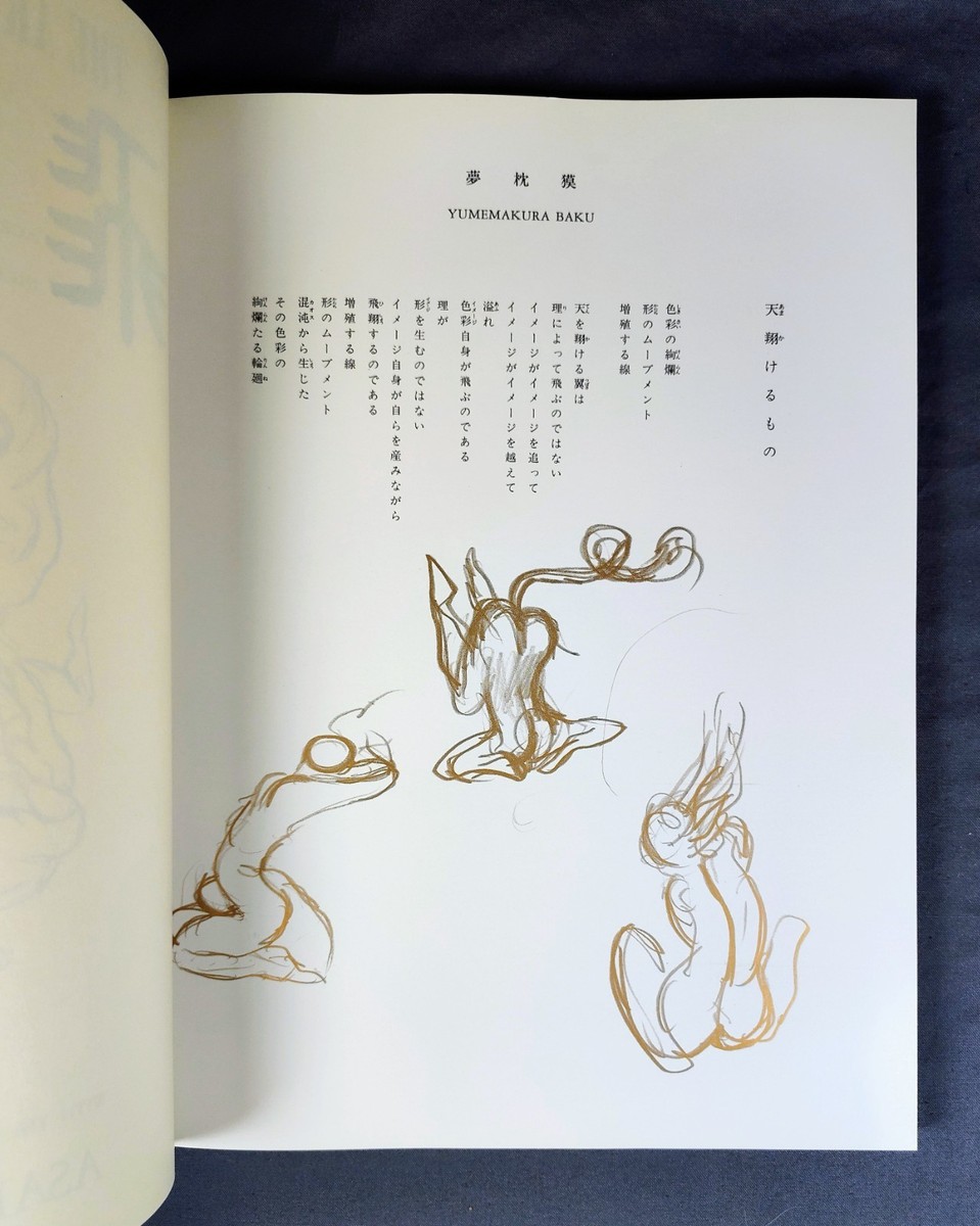 Art of Yoshitaka Amano : Hiten by Yoshitaka Amano (1991, Trade