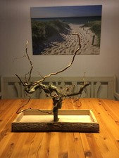 Freisitz KORKENZIEHERHASEL