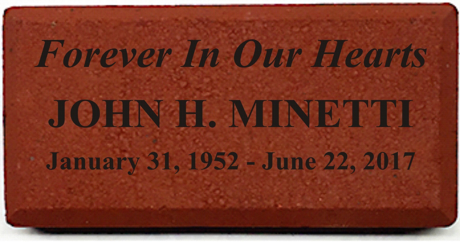 Engraved Red Brick 4" x 8" Memorial, Donor SEE VIDEO BELOW, Customize ...