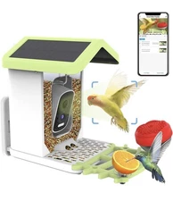 4K AI Bird Species Identification Solar Powered Panel