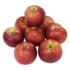 Kauffman Orchards Fresh Empire Apples, Cross of Red Delicious and McIntosh,...