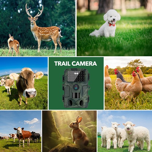 Outdoor HD Trail Hunting Camera Night Vision Security Game Camera Wildlife Cam - Picture 14 of 20