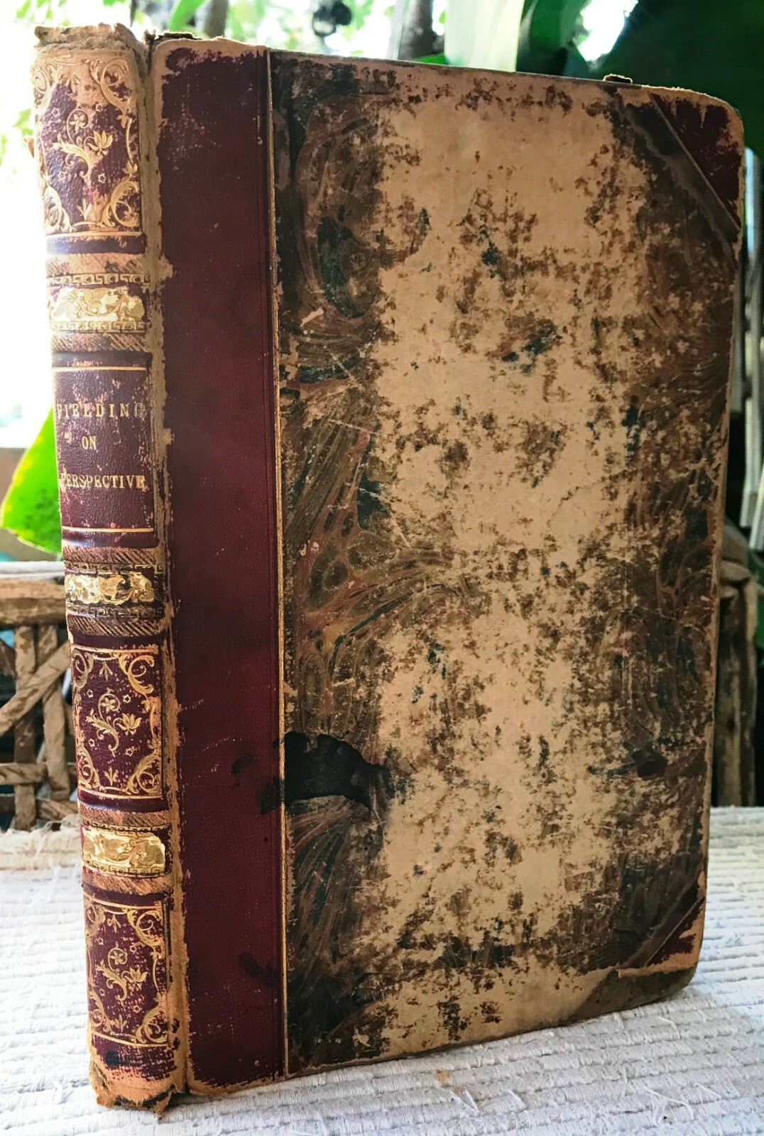 Picture 2 of 8