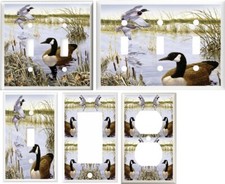 GOOSE GEESE MALARD DUCKS ON A POND LIGHT SWIT...