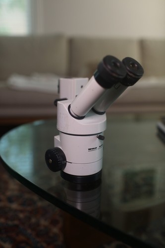 Testa microscopio zoom stereo Wild Heerbrugg M3Z con 2 oculari Leica 10x/23 - Foto 8 di 12