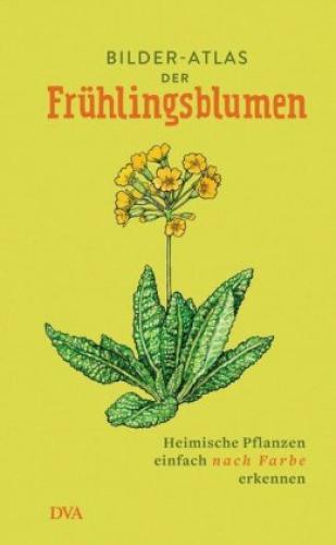 Thumbnail - Bilder-atlas Der Frühlingsblumen Heimische Pflanzen Einfach Nach Farbe
