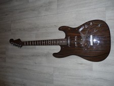 Strat style guitar project
