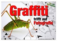 "Calendar 2027 · US Version · Graffiti Meets Photography (Wall Calendar 2027 17\""