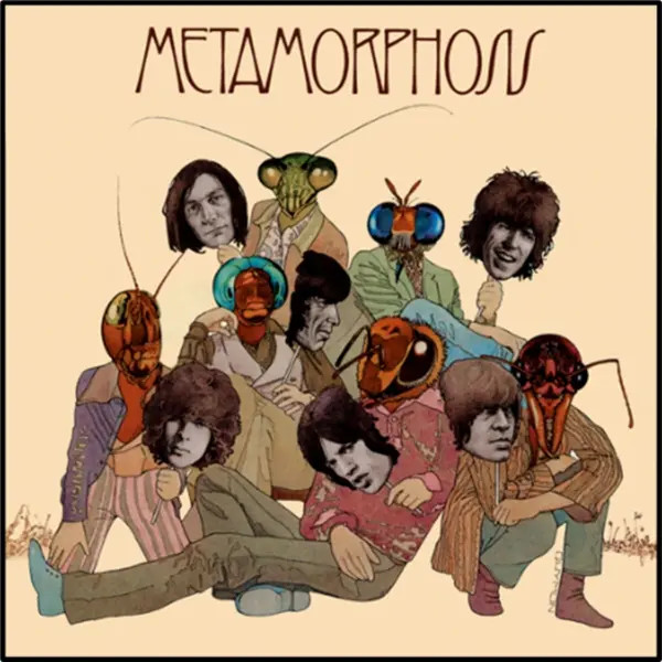 Metamorphosis (Standard Black Vinyl) | The Rolling Stones | Vinyl / Schallplatte-image