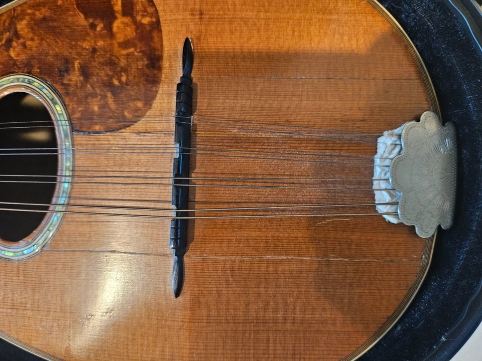 1919 C.F. Martin Style 2 Bowlback Mandolin 玻璃纤维盒 — 第 3/4 张图片