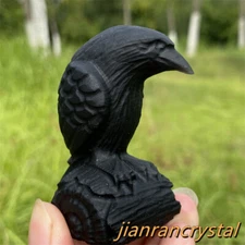 2" Natural Obsidian Quartz Raven Crystal Animal Carved Crow Skull Healing 1pc