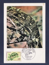 cma/ carte maximum France  caméléon de la réunion  Paris     1975