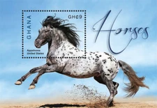Ghana 2015 - Appaloosa - Horses - Souvenir stamp sheet - Scott #2835 - MNH