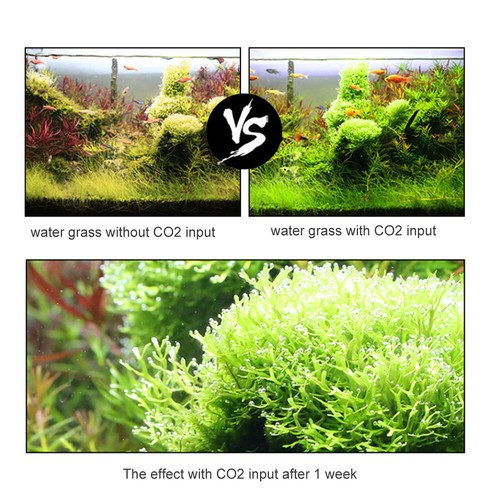 Ausgangsspannung Aquarium CO2 CO2 Druck mit Z9M1 - Bild 10 von 12