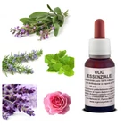 Essential OIL LAWN BLEND Lavender Pink Mint Rosemary Natural Sage
