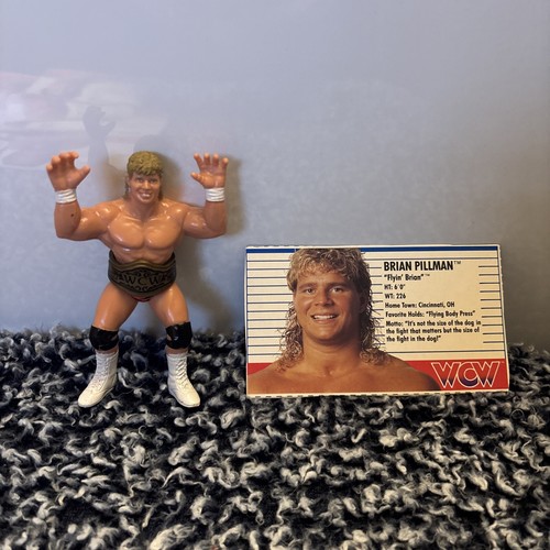 1990 WCW Wrestling Galoob Flyin� Brian Pillman Ser...