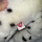 Foto 11 di 15