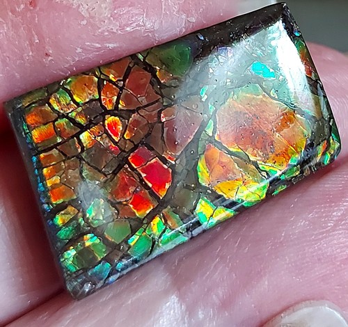 Ammolite Ammonite Coated Stone 29.2x18.2x5.5mm 16797 - Picture 3 of 5