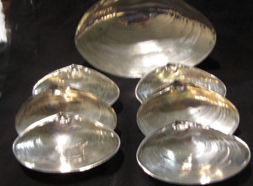 Wallace #393 Sterling Silver 6 1/4" Clam / Oyster Shell Dish with 6 Small Dishes
