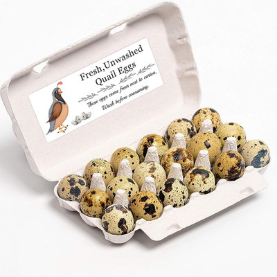Unwashed Chicken Quail Duck Egg Carton Stickers 1 * 2.5 Inch Farm Fresh Eggs ...