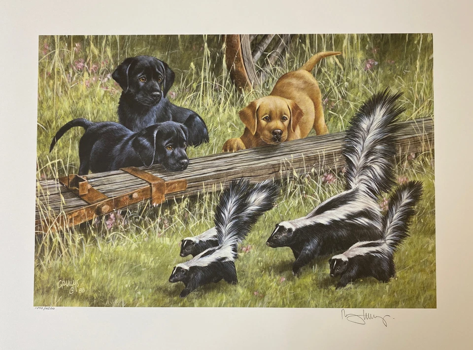 Roger Cruwys Vintage 1988 Limited Edition Art Print Labs with Skunk￼s Unframed