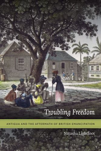 Troubling Freedom: Antigua and the Aftermath of British Emancipation - Image 3
