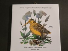 Carrelage céramique 8" Souviner 2009 pèlerinage fleurs du monde Blackwater Falls Davis WV