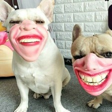 Lovely Pet Dogs Lips Mask Adjustable Prevent Bark Anti Stop Chump Headgear