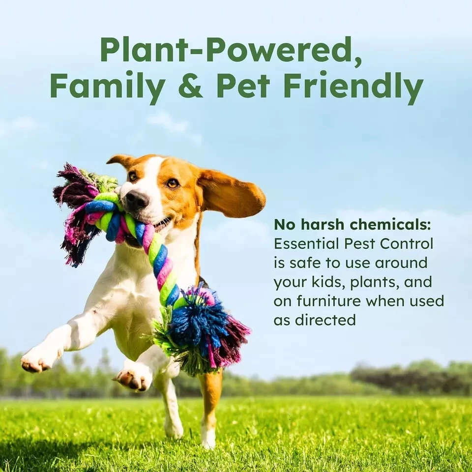 Concentrado de aceite esencial BugMD Pest Control 3,7 oz (paquete de 1) Foto 2 de 4