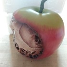 Bild 5 von 6