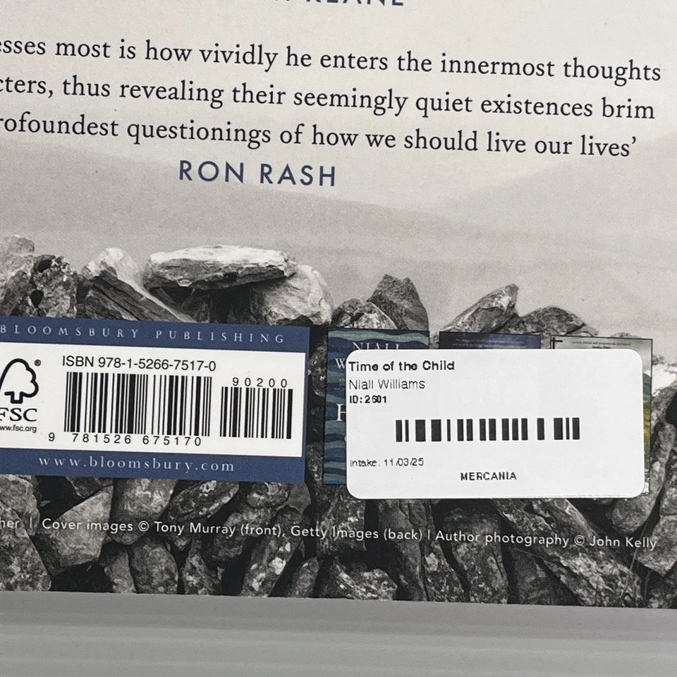 Time of the Child by Niall Williams Paperback Book Fiction - image 3 of 4