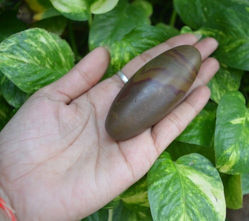 Piedra giratoria Narmadeshwar para piedra natural Narmada Linga ~ I-5487 - Imagen 7 de 10