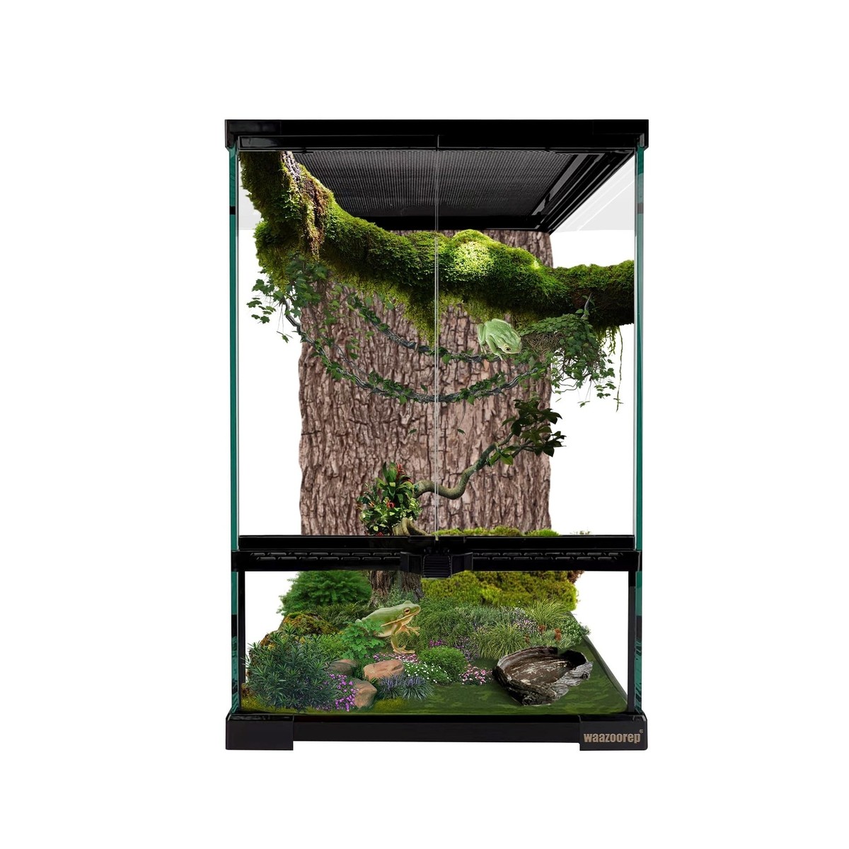 11 Gallon Reptile Glass Tank Vertical Terrarium 12