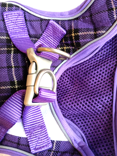 Small Dog Harness No Chock No Pull dog Vest, Size S - Picture 4 of 9