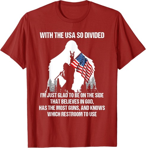 With The USA So Divided I'm Just Glad To Be On The Side 4th Of July Tee T-Shirt - Picture 5 of 11
