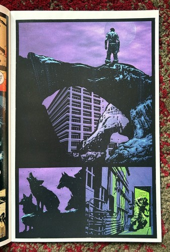 las 12 FRECUENCIA GLOBAL Simon Bisley Wildstorm 2002 SERIE COMPLETA excelente - Imagen 19 de 24