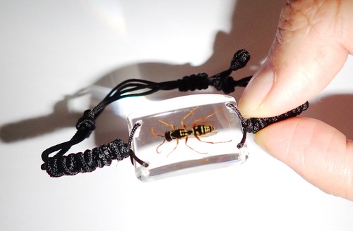 Insect Resin Bracelet Red Wasp Real Insect Specimen Clear SL15 - Picture 5 of 6