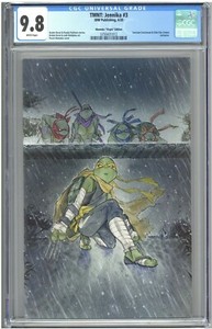 TMNT-Jennika-3-CGC-9-8-Momoko-Virgin-Edition-Cover-Teenage-Mutant-Ninja-Turtles