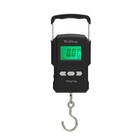Hanging Scale Fish Weighing Scales