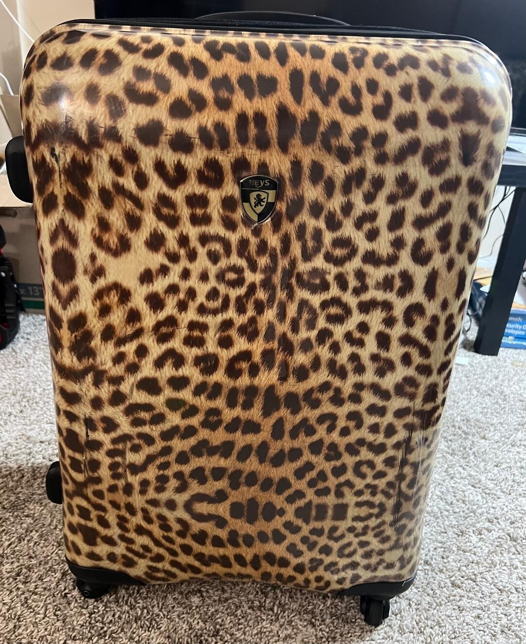 Picture 1 of 11