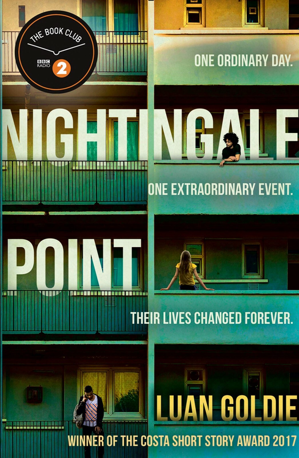 Nightingale Point by Luan Goldie (Paperback)