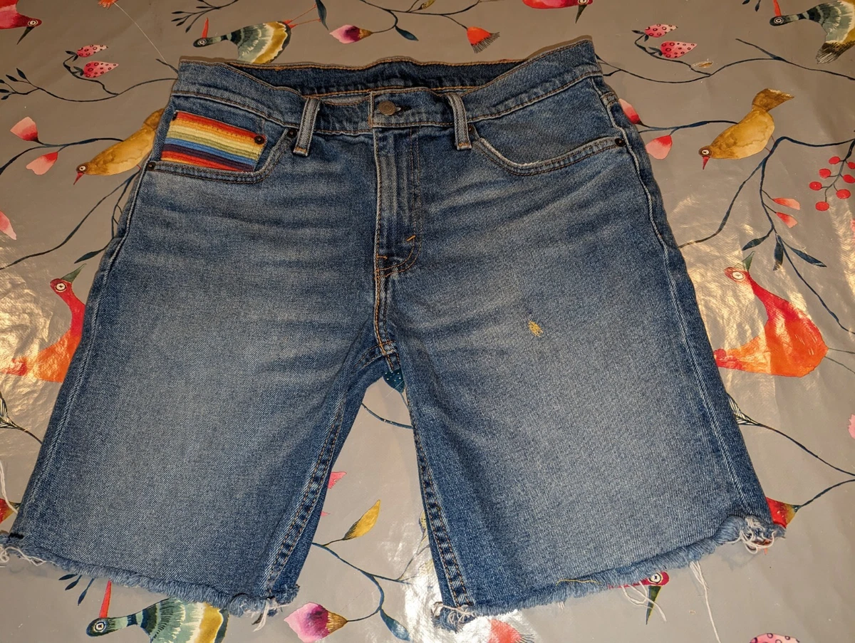 Levis Pride Rainbow Shorts. Waist 32. Levis 511